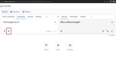spamgba.g|Google Translate.